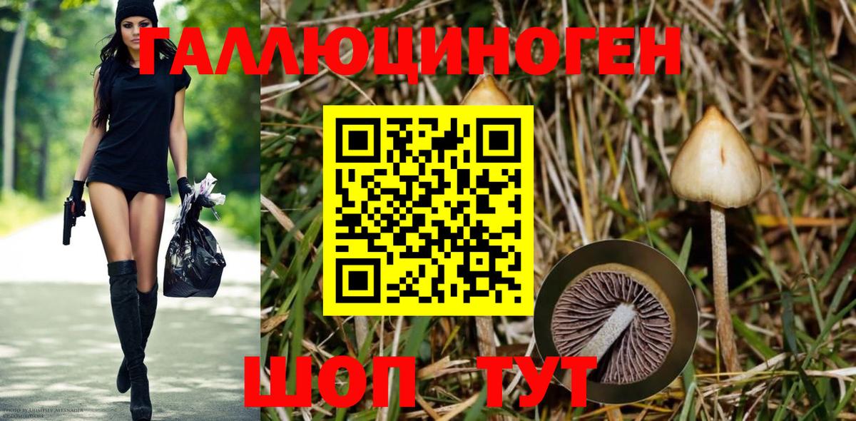 Галлюциногенные грибы MAGIC MUSHROOMS Славгород