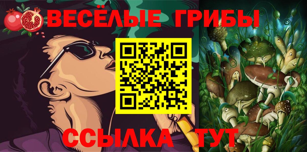 Псилоцибиновые грибы Cubensis  Вход с VPN  Псилоцибиновые грибы мухоморы  Славгород 